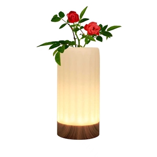 Genopladelig LED bordlampe med vase-funktion – 12 lysfarver, fjernbetjening og IP68 vandtæt